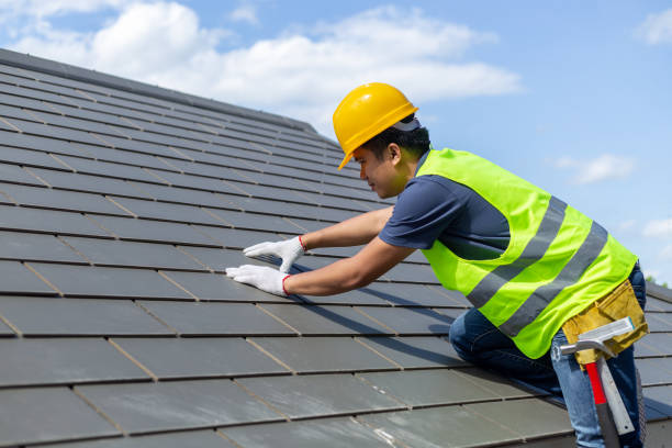 Best Asphalt Shingles Roofing  in Amelia, LA