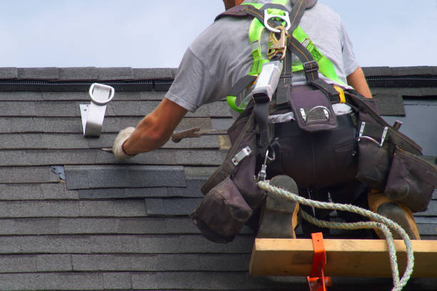 Best Roof Moss and Algae Removal  in Amelia, LA